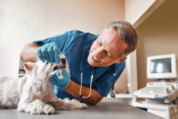 Best Tooth Pain Emergency Relief  in Pittsburg, KS